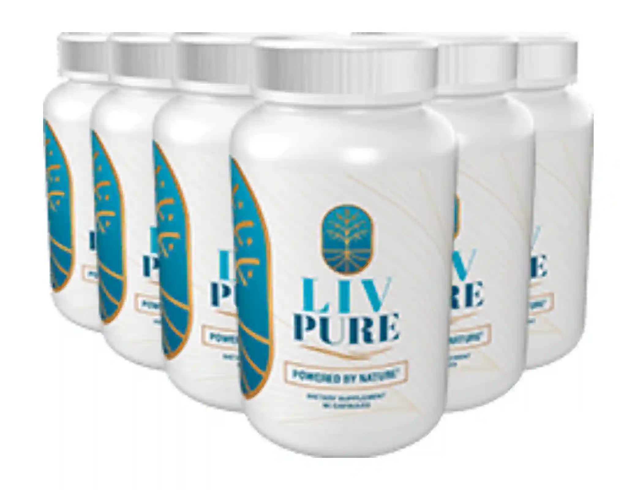 Liv Pure 6 bottle bundle best value free shipping